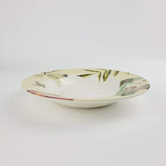 Spode Fruit Haven Rim Soup Bowl Butterfly Bee Fruit & Leaves, Fall Autumn Dishes - Picture 3 of 15